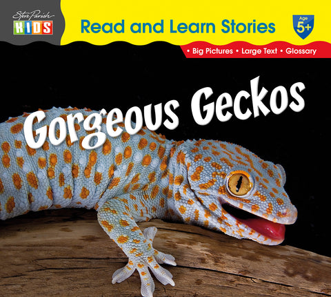 Gorgeous Geckos