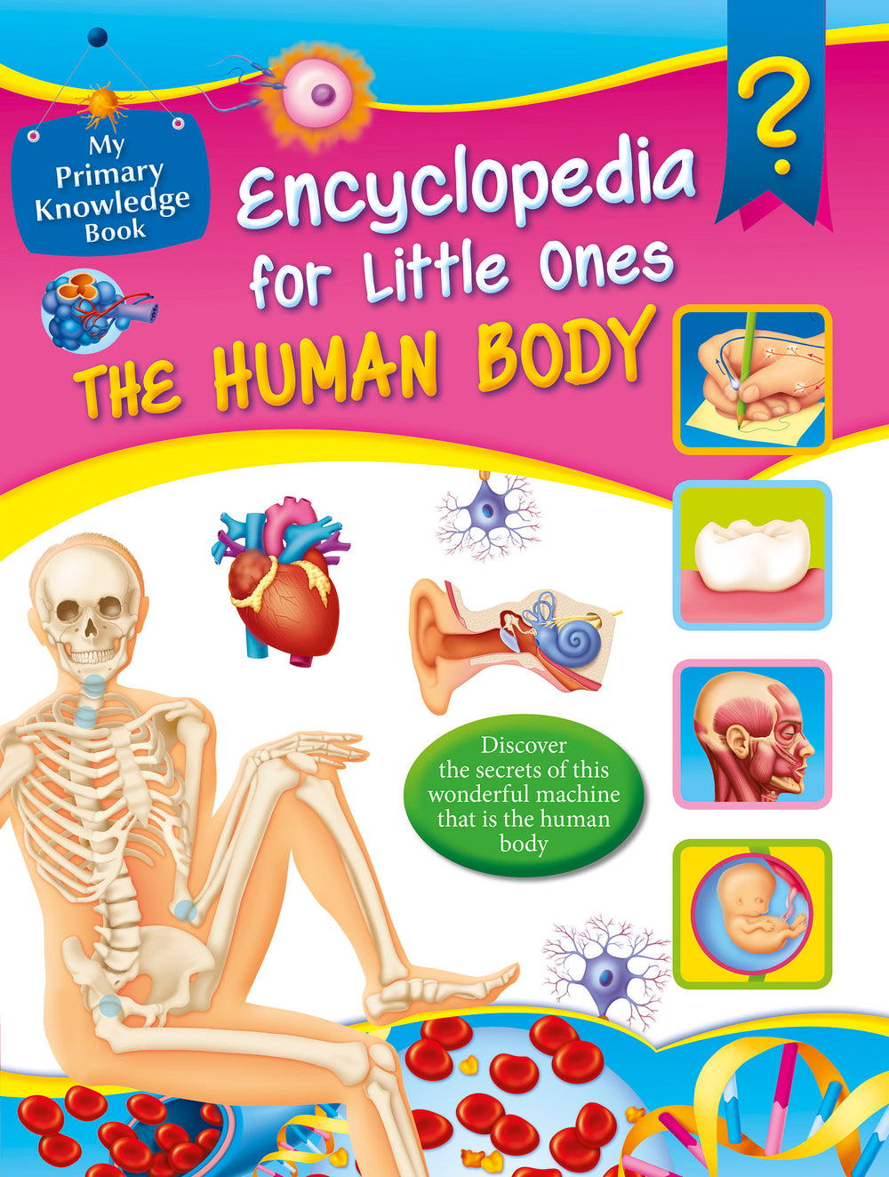 Encyclopedia for Little Ones The Human Body