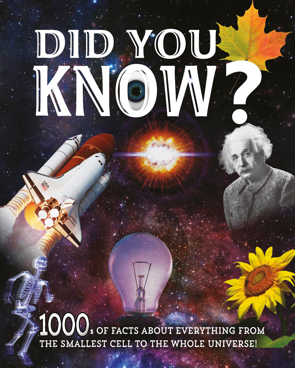 Did You Know?