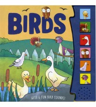 Birds: 6 Fun Bird Sounds