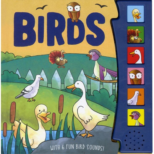 Birds: 6 Fun Bird Sounds