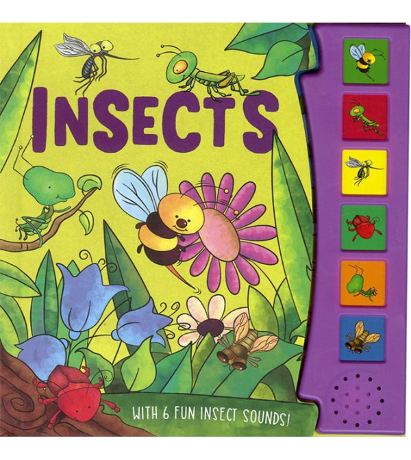 Insects: 6 Fun Insect Sounds