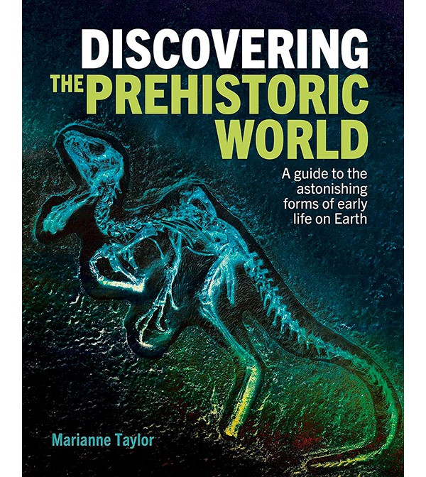 Discovering the Prehistoric World