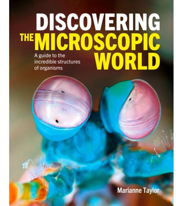 Discovering the Microscopic World