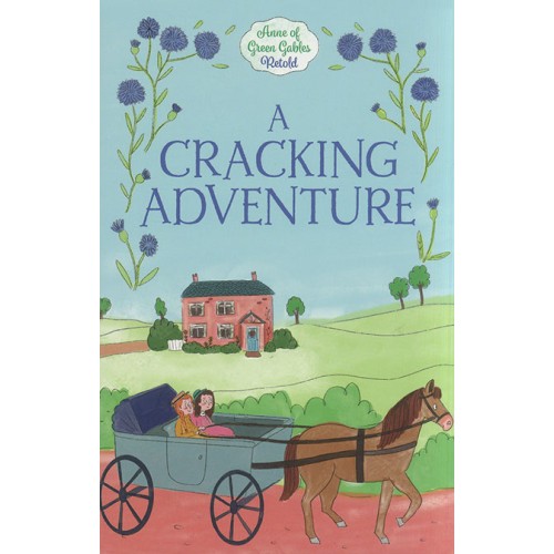A Cracking Adventure