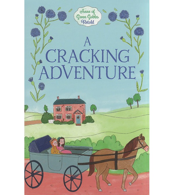 A Cracking Adventure