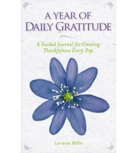 A Year of Daily Gratitude