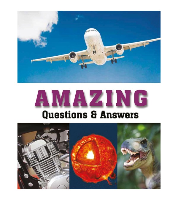 Amazing Questions & Answers