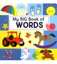 My Big Book of Words-P