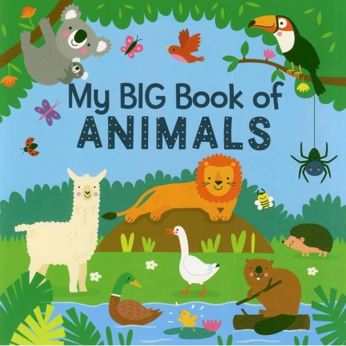 My Big Book of Animals (PB)