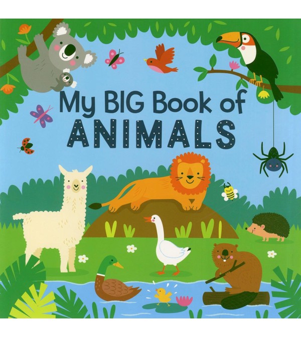 My Big Book of Animals (PB)