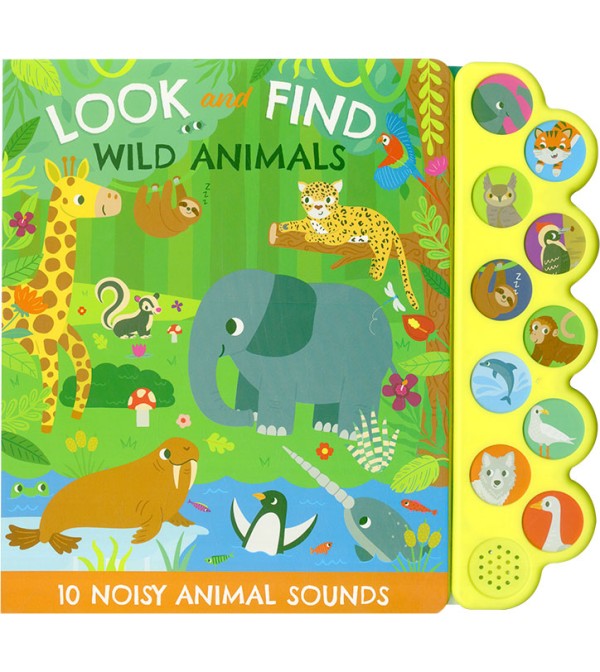 10 Look and Find Sounds Book Series