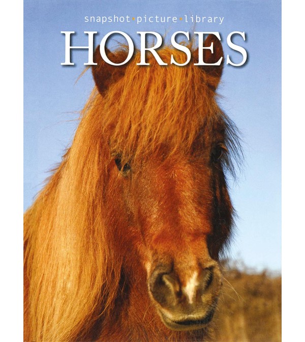 Snapshot Horses