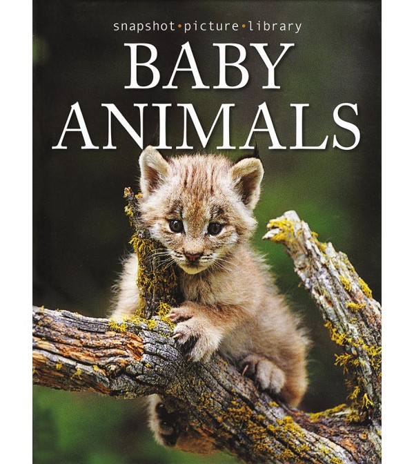 Snapshot Baby Animals