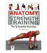 Anatomy of Strength Training