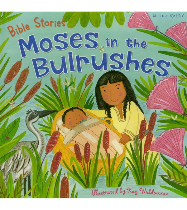 Bible Stories Moses in the Bulrushes