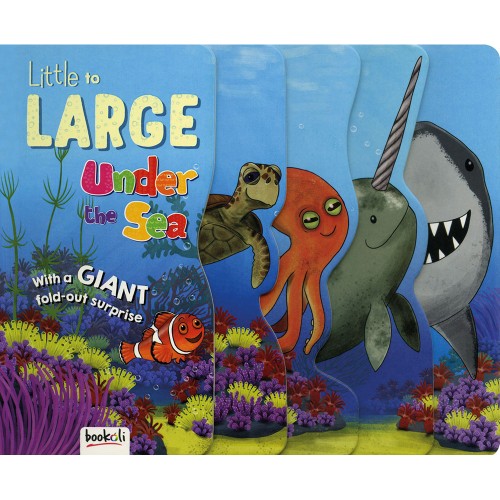 Little to Large Under the Sea