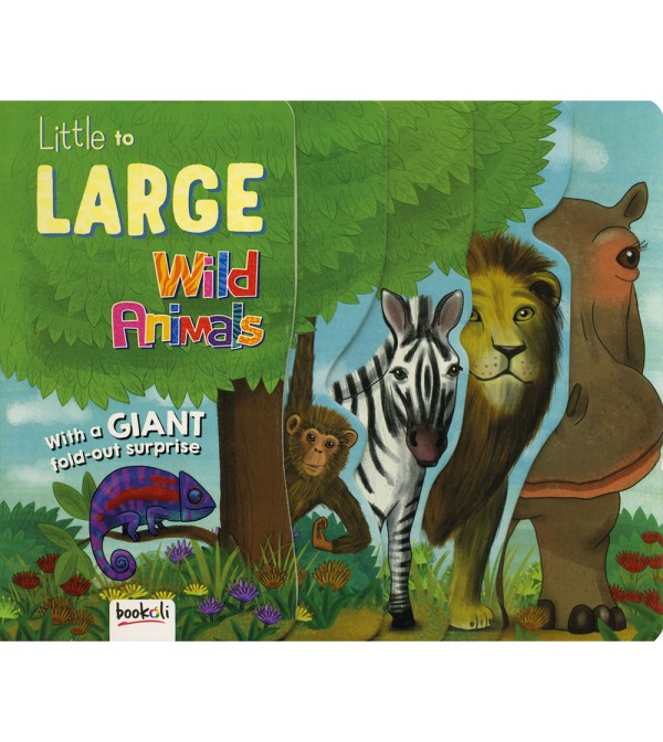 Little to Large Wild Animals