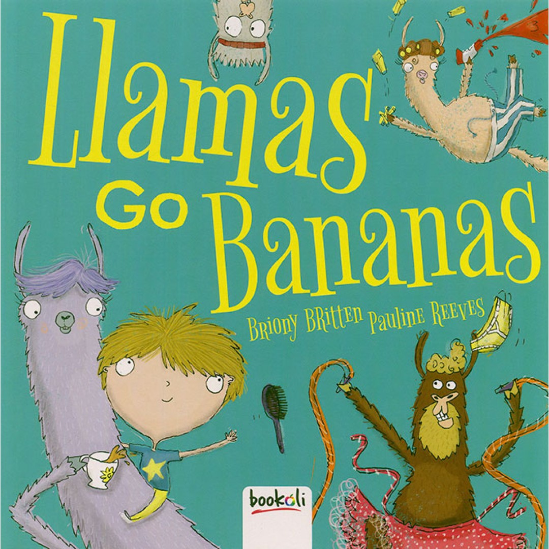 Preschool Picture Reading Series (Bookoli)