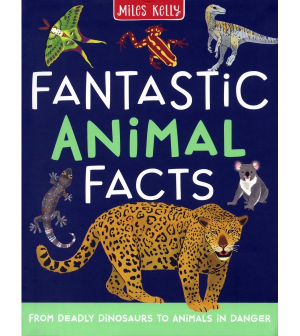 Fantastic Animal Facts