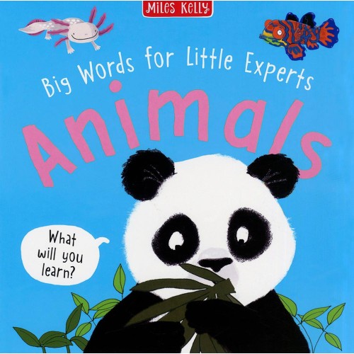 Big Words for Little Experts Animals