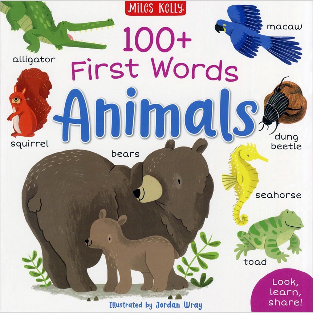 100+ First Words Series