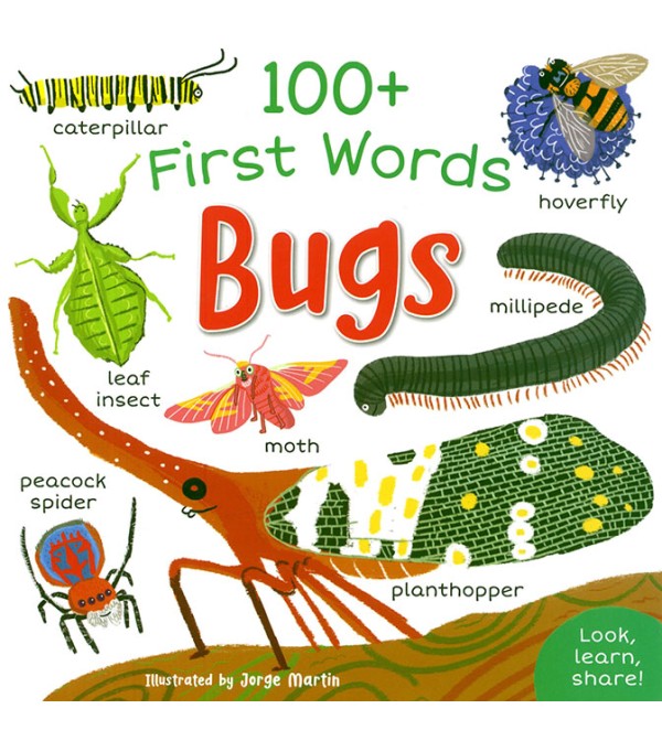 100+ First Words Bugs (Small) 