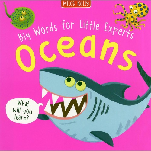 Big Words for Little Experts Oceans