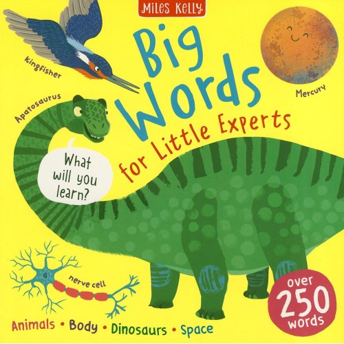 Big Words for Little Experts