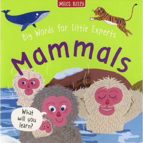 Big Words for Little Experts Mammals