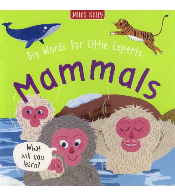 Big Words for Little Experts Mammals
