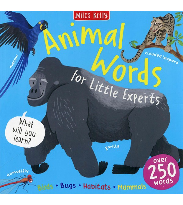 Animal Words for Little Experts