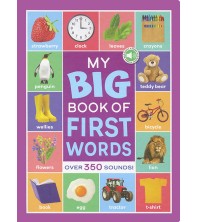 My Big Book of First Words