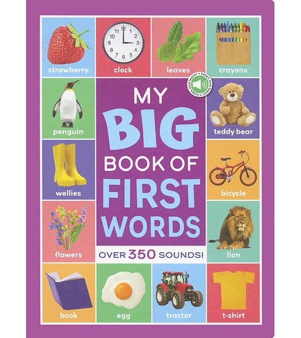 My Big Book of First Words