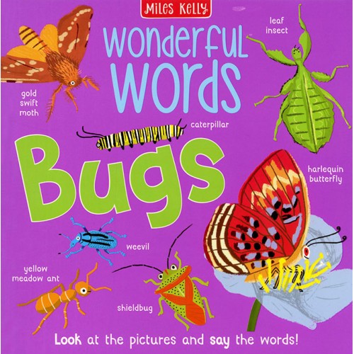 Wonderful Words Bugs