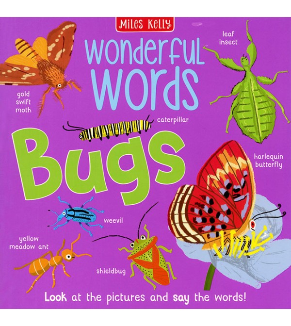 Wonderful Words Bugs