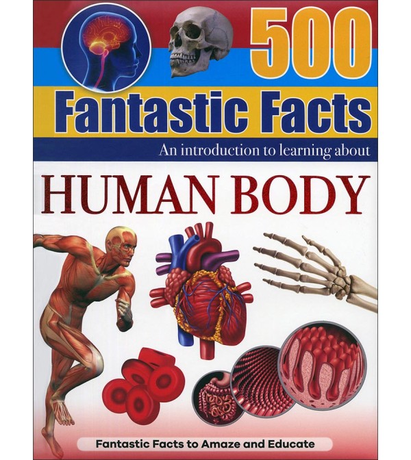 500 Fantastic Facts Human Body