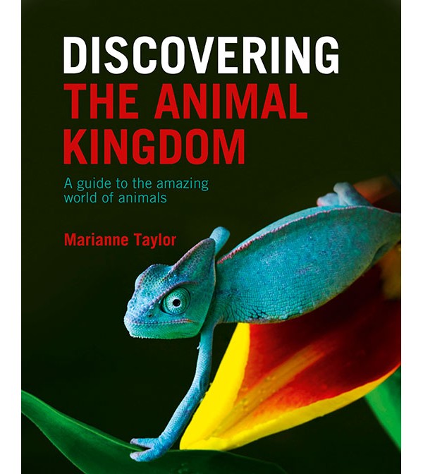 Discovering the Animal Kingdom