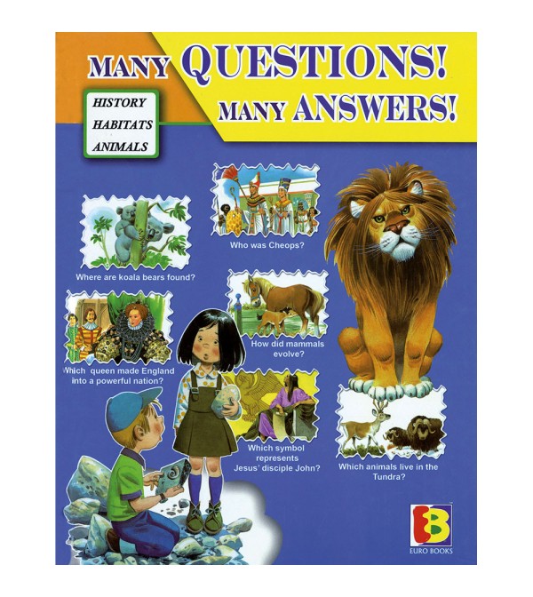 Many Questions Many Answers