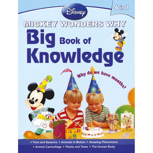 Big Book of Knowledge