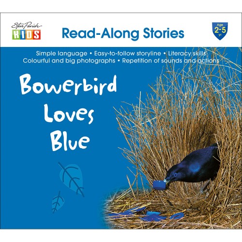 Bowerbird Loves Blue