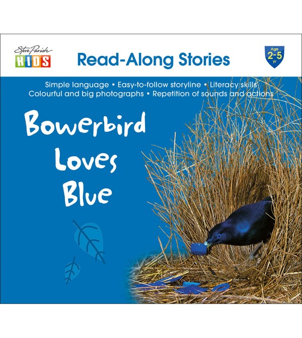 Bowerbird Loves Blue