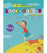 Big Book of Look-N-Colour (4 in 1)