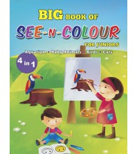 Big Book of See-N-Colour (4 in 1)