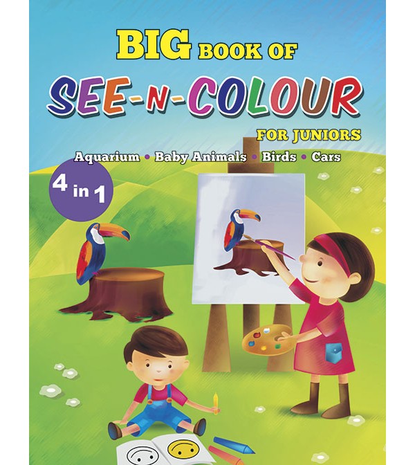 Big Book of See-N-Colour (4 in 1)
