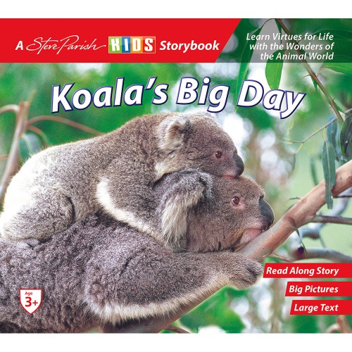 Koala's Big Day
