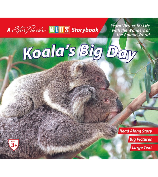 Koala's Big Day