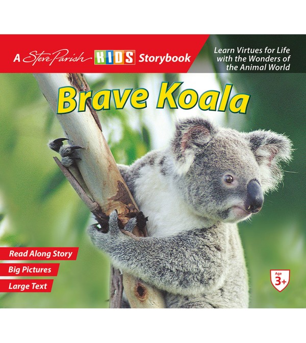 Brave Koala