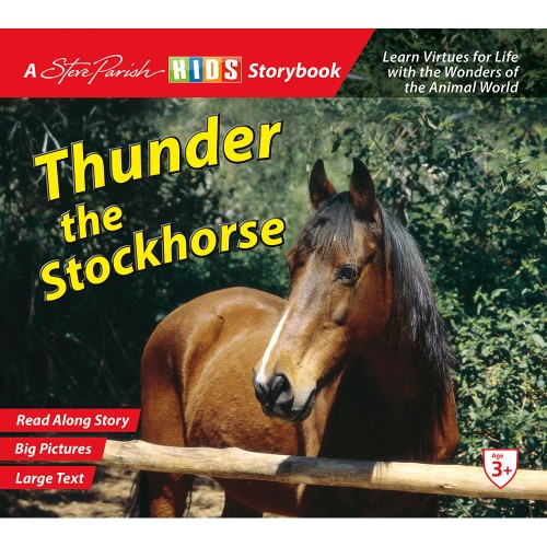 Thunder the Stockhorse