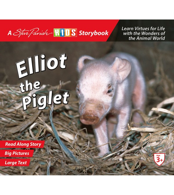 Elliot the Piglet